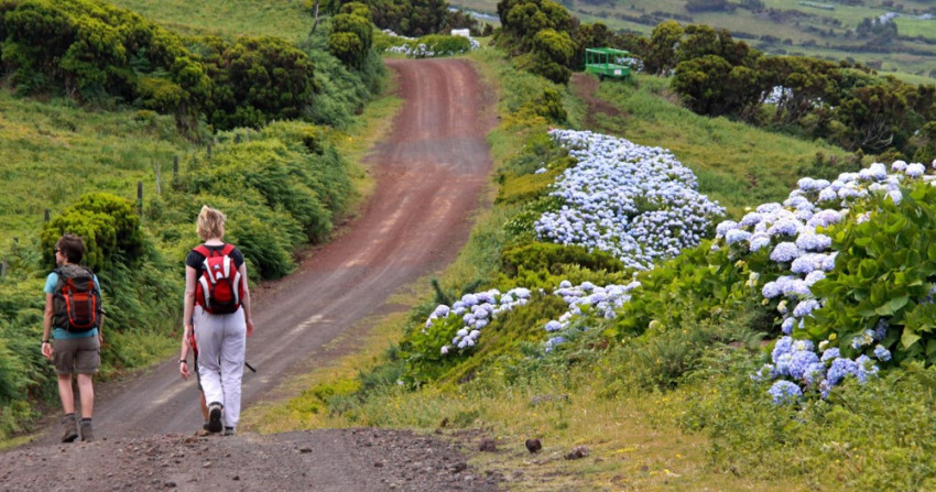 Trilho Pedestre: Rocha da Relva - Meio Dia