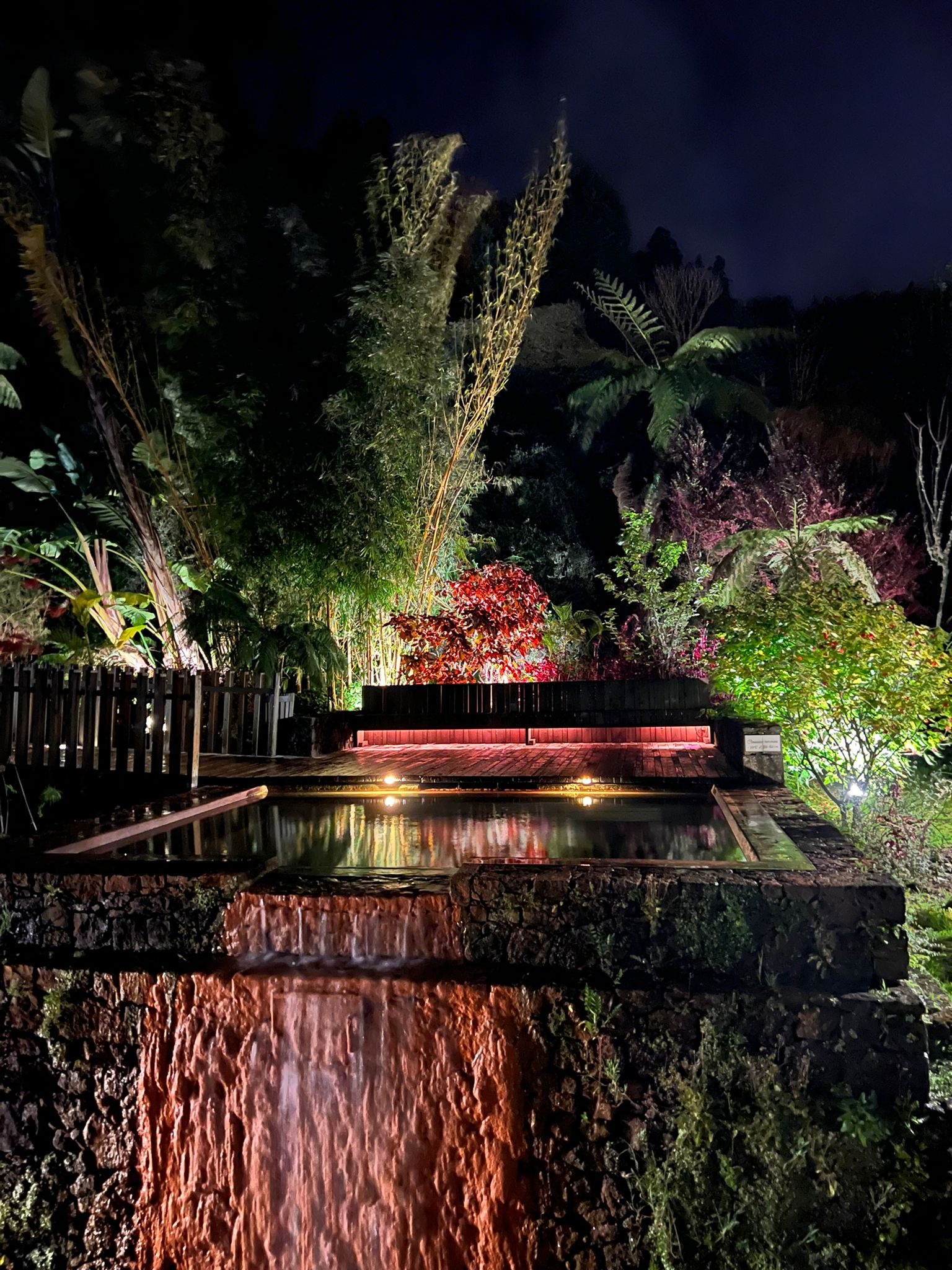 Van Tour: Furnas Night Tour: Geothermal Dinner & Thermal Baths