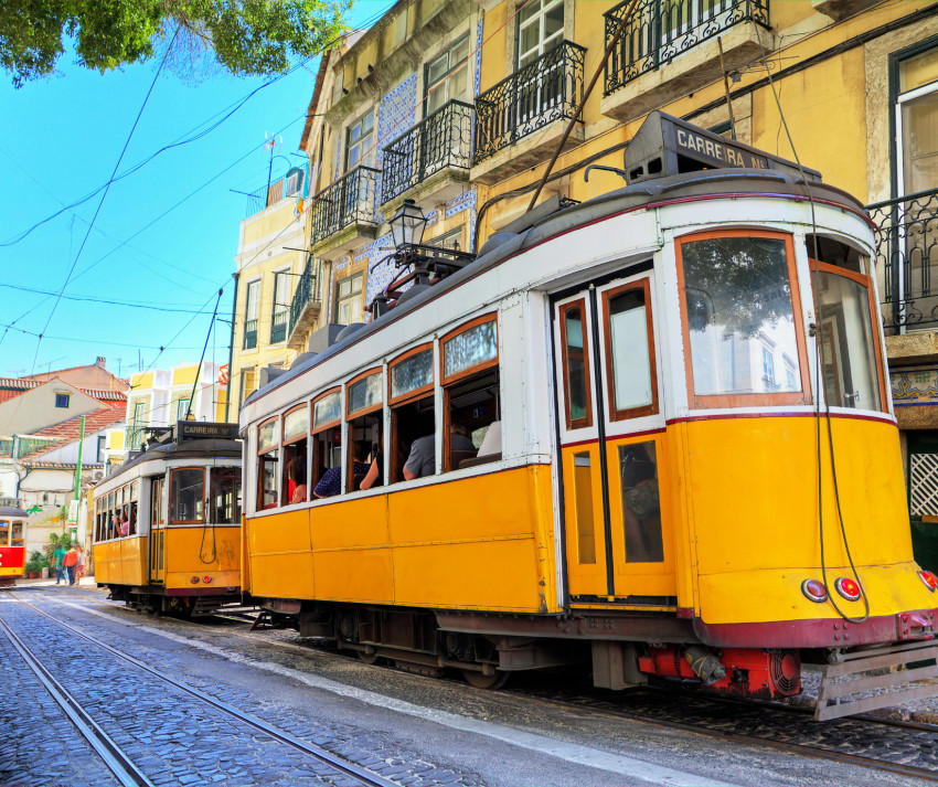 Food & Wine: Lisbon Wine Van: Panoramic City Tour and Flavors