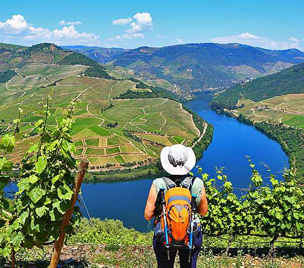 Hiking: Douro Heritage Hike Day - 12km