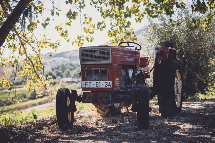 Food & Wine: Wine Slow Pace - Walking Tour of the Estate & Vegan Range Tasting
