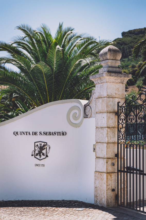 Food & Wine: Wine Slow Pace - Walking Tour of the Estate & Silver Range Tasting