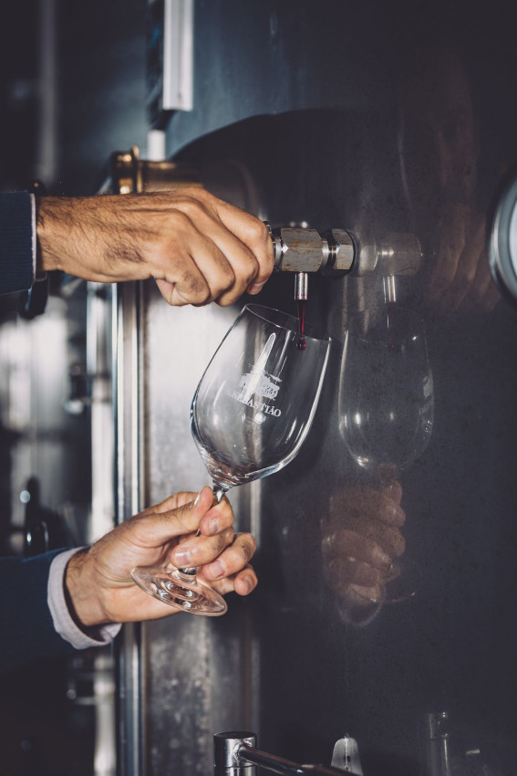 Food & Wine: Wine Slow Pace - Walking Tour of the Estate & Platinum Range Tasting