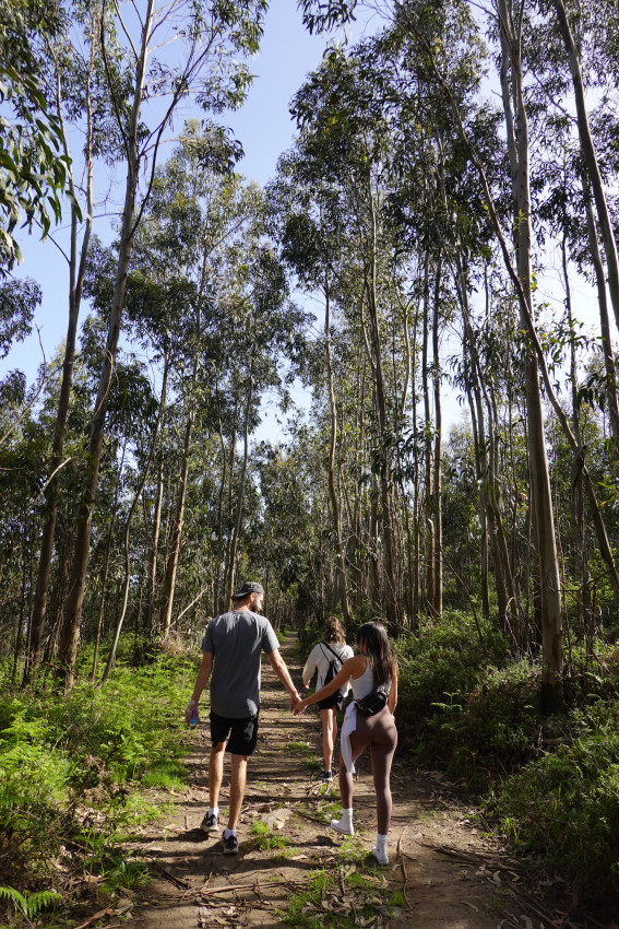 Hiking: Top of the Algarve