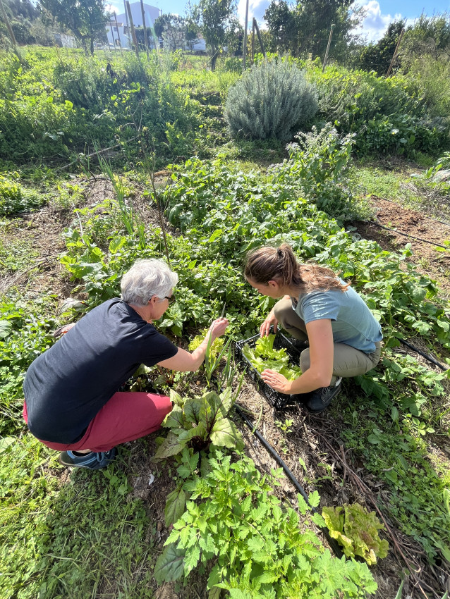 Cultural: Hands in the Earth