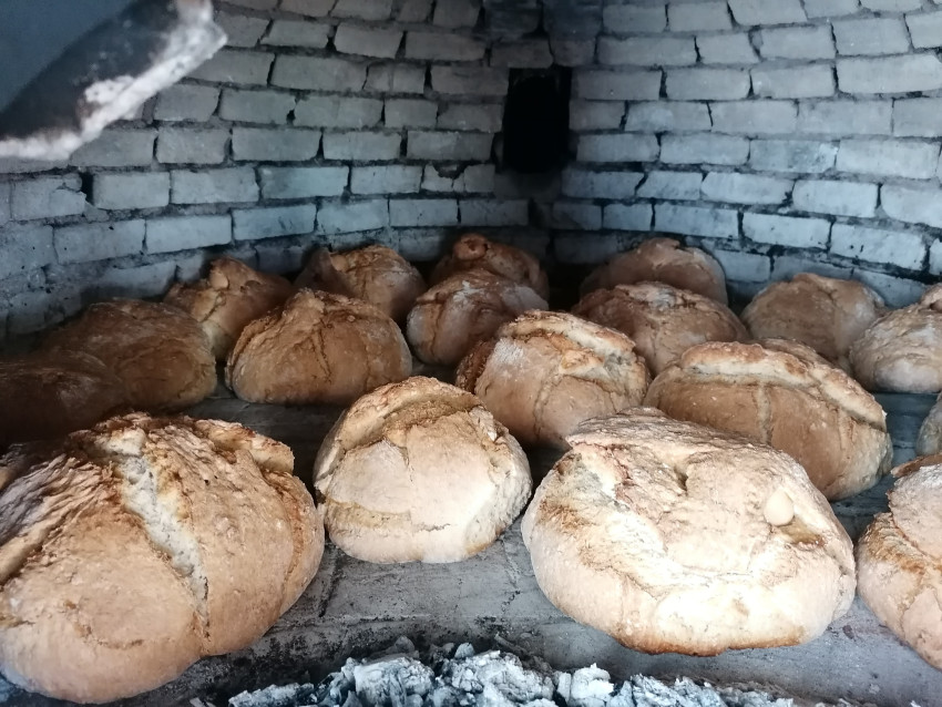 Cultural: Local Farm & Bread Workshop