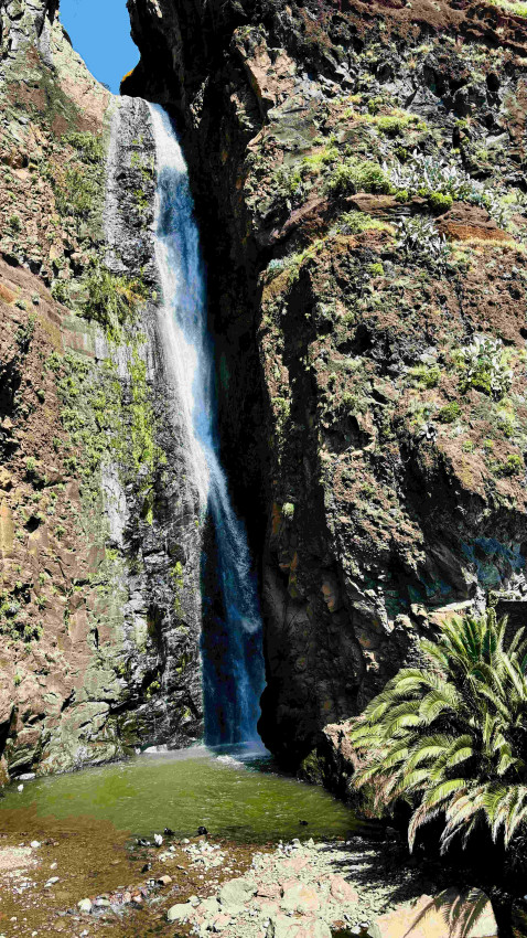 Sightseeing Tour: Sunny South Side