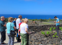 Gastronomia: Prova de 3 Vinhos no Solar Terra Brum