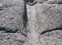 Gastronomia: Prova de 3 Vinhos na Cerca dos Frades