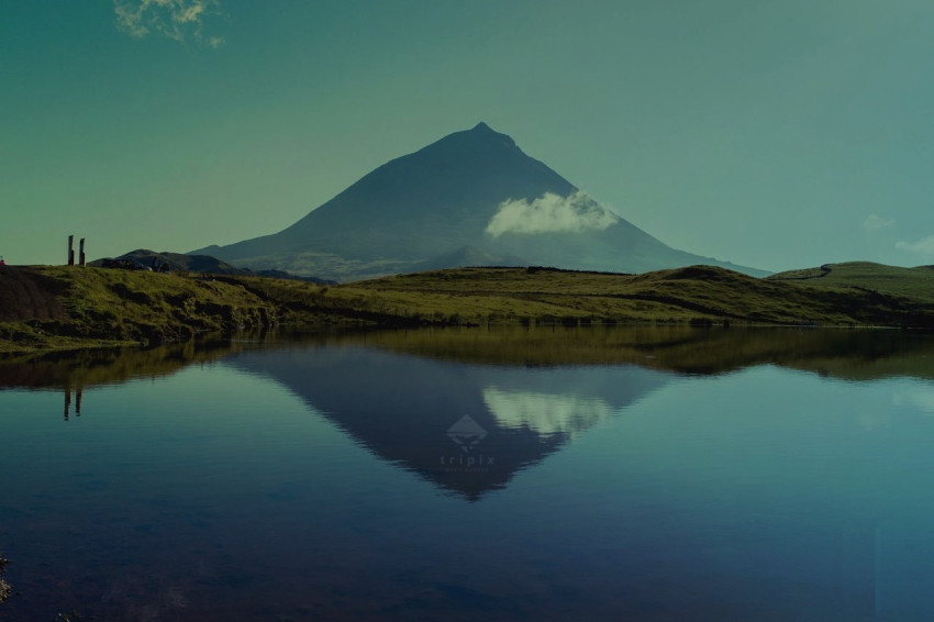 Tours : Dia inteiro Pico