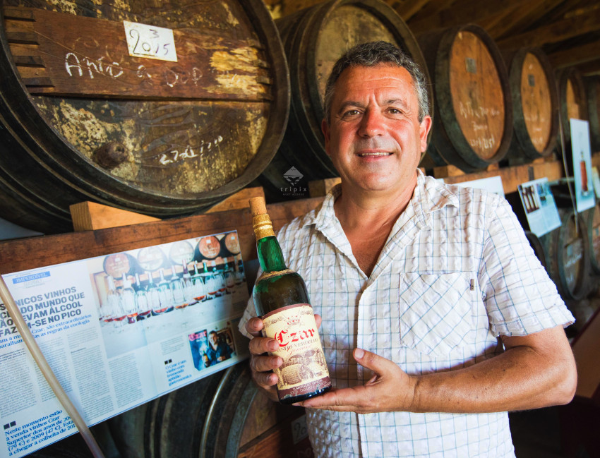 Tours : Rota Do Vinho do Pico