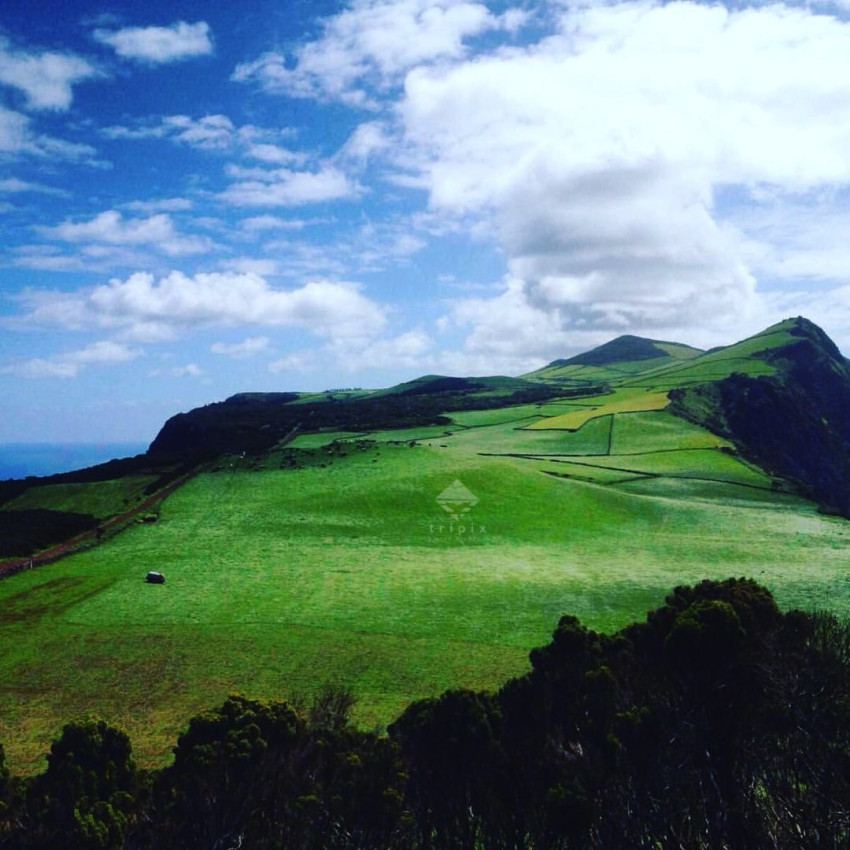 Tours : São Jorge Tour