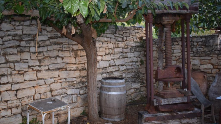 Food & Wine: Cretan Wine and Olive Oil Experience - Full-Day Tour