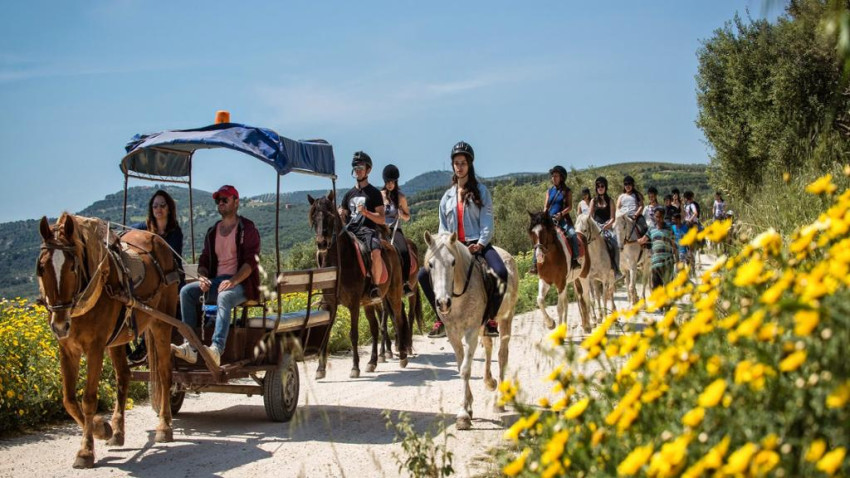 Cultural: Horse Riding in Heraklion – Full-Day Tour