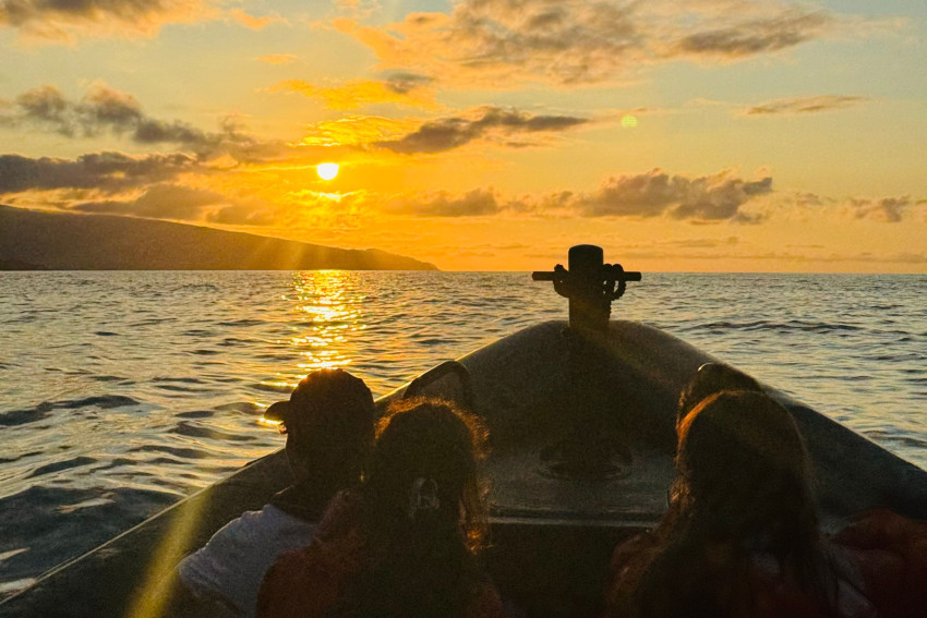 Ocean Expedition: Sunset Tour & Ocean Swim