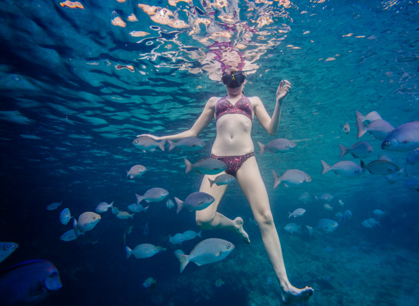 Ocean Expedition: Atlantis Snorkeling Tour