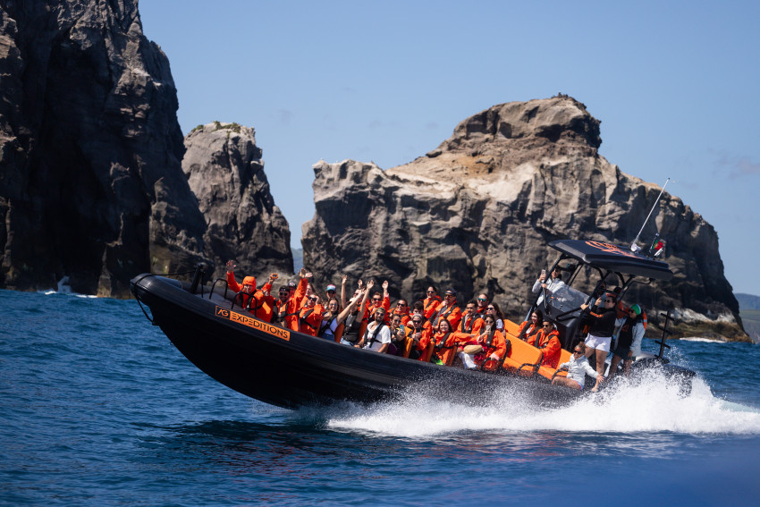 Ocean Expedition: Caves & Cliffs Tour on the Wild North Coast