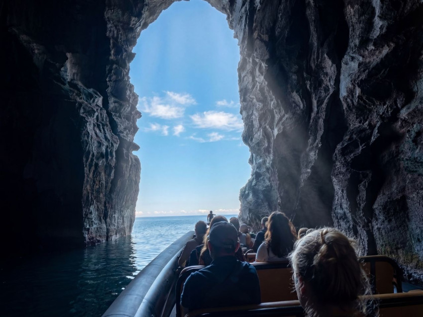 Ocean Expedition: Sea Caves & Volcanic Cliffs Tour