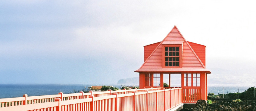 Tour gastronómico : Experiência Viníca na Ilha do Pico 