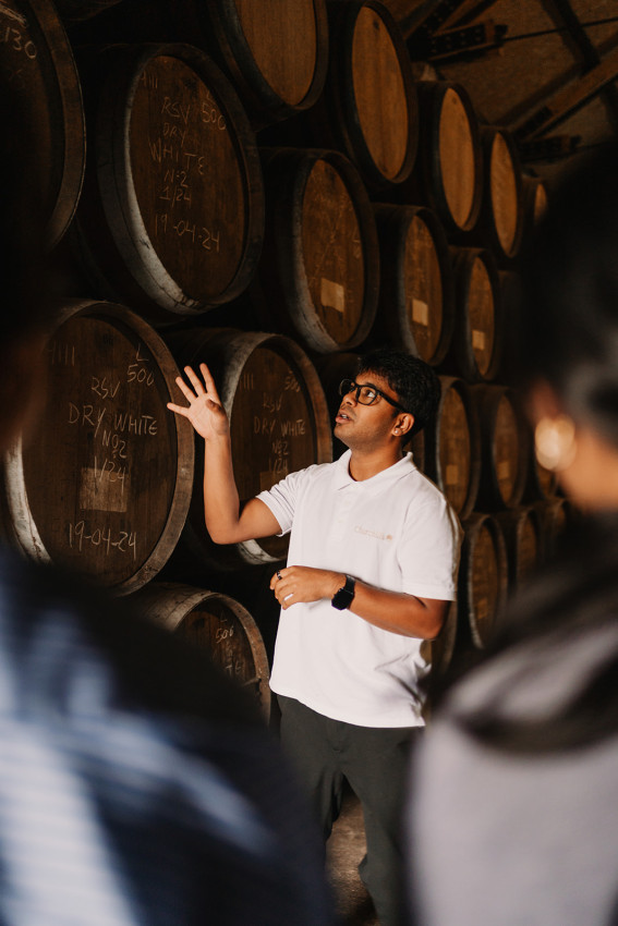 Food & Wine: Guided Tour & Classic Ports Tasting