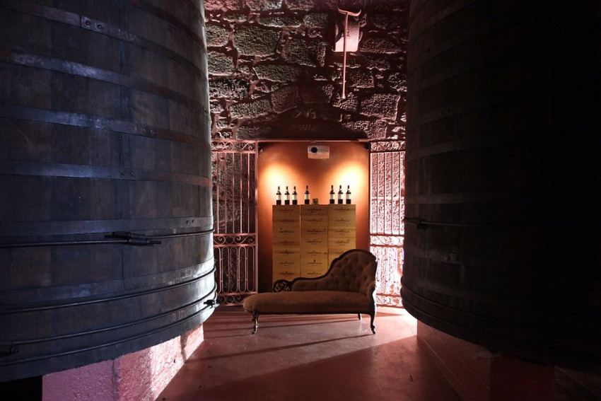 Food & Wine: Guided Tour, Porto & Douro Discovery Wine Tasting & Cheese Pairing