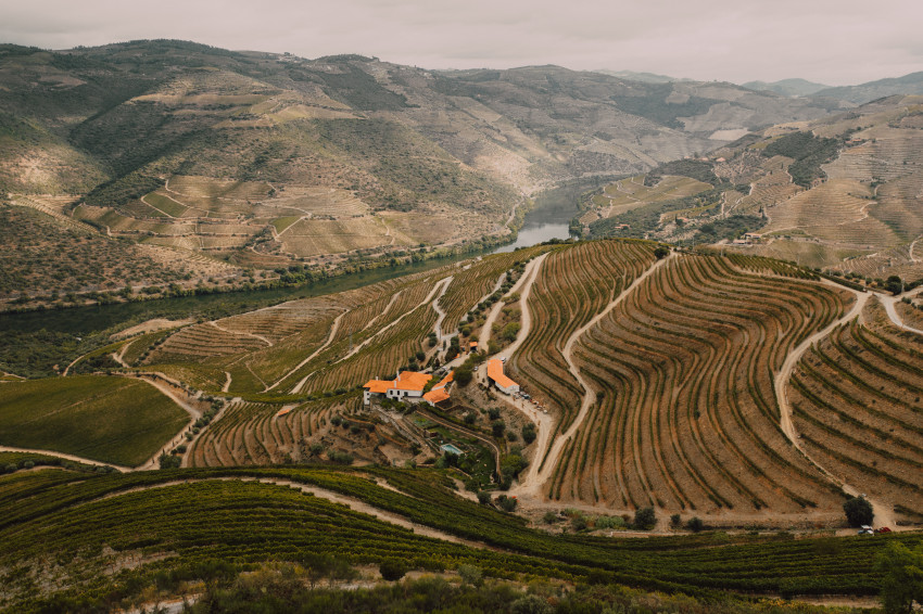 Food & Wine: Guided Visit & Wine Tasting: Classic Ports