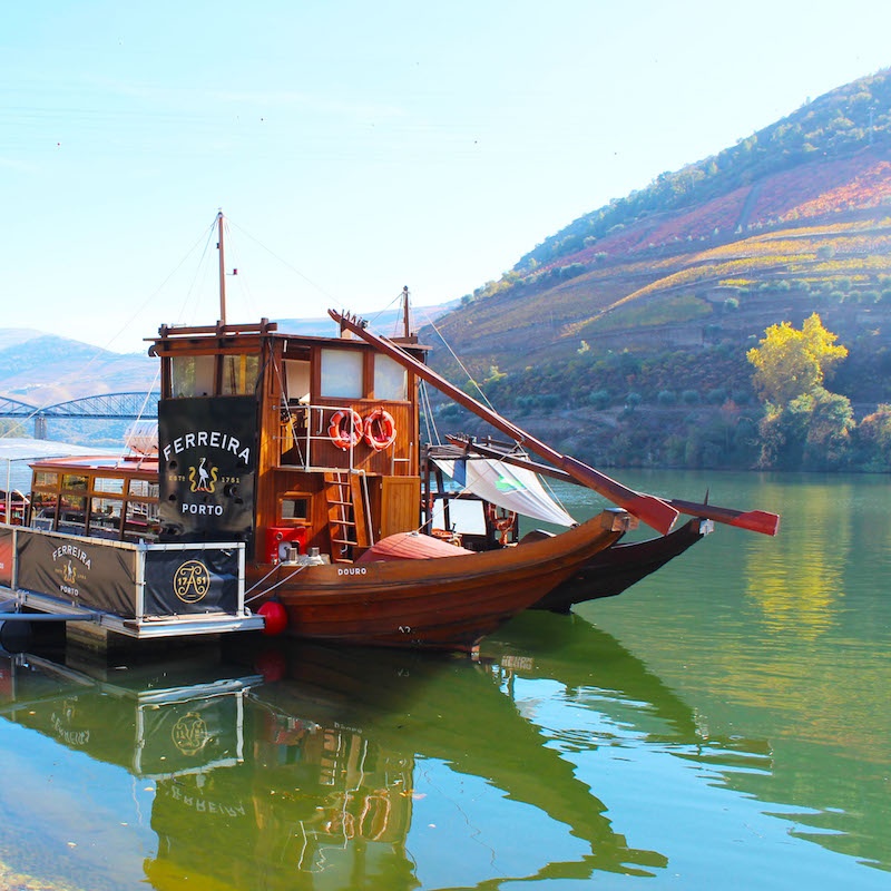 Van Tour: Douro Valley: Guided Tour with Wine Tasting and Lunch Included