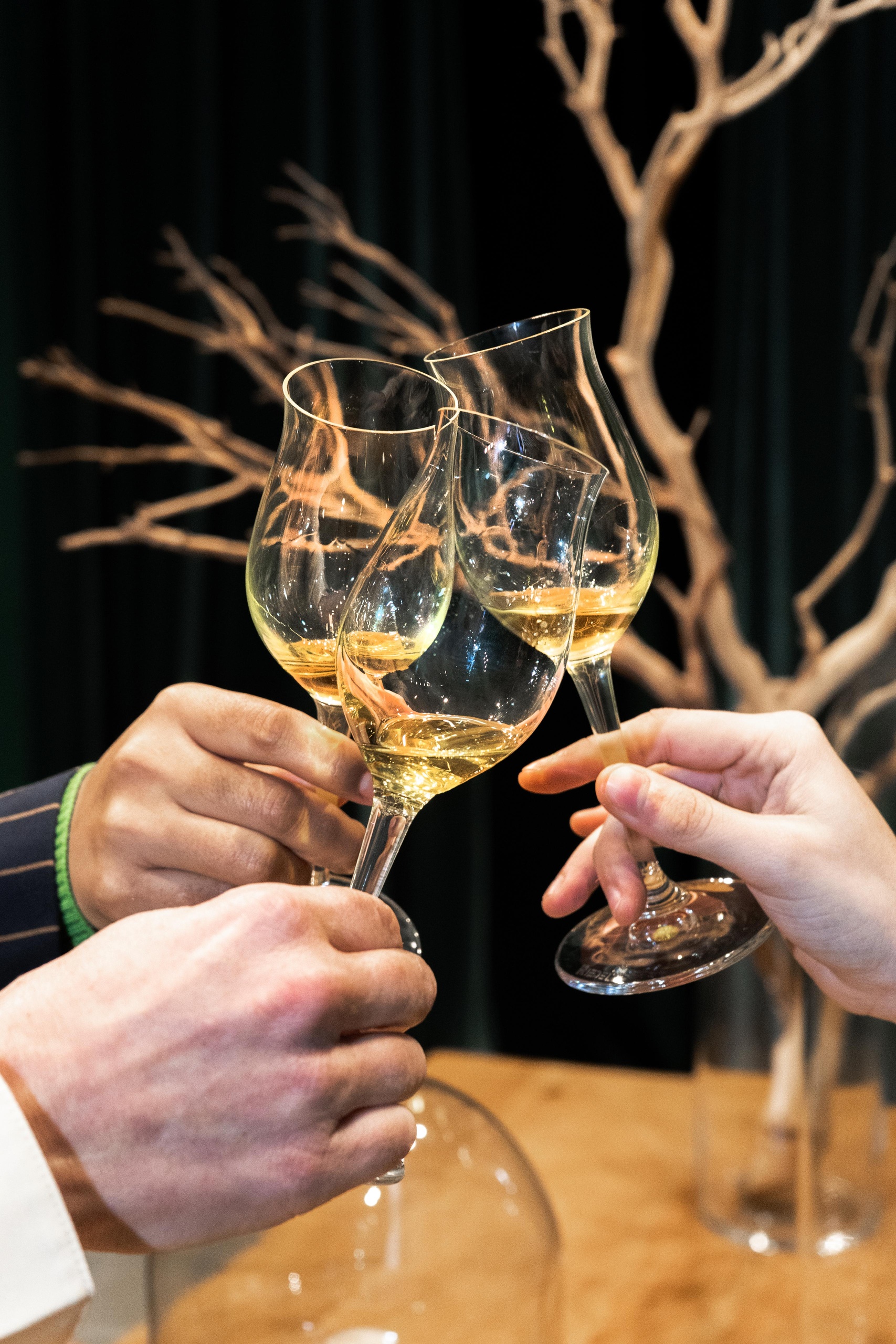 Food & Wine: Premium Spanish Olive Oil Tasting