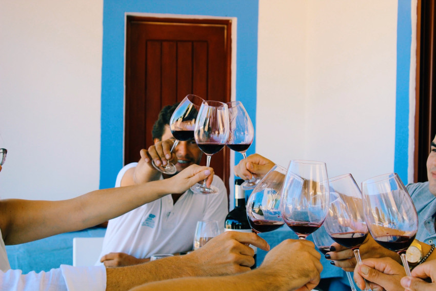 Olivotourism : Wine & Olive Oil Tasting