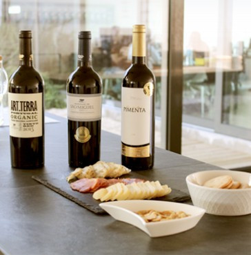 Wine Tourism: Tasting Portuguese Grape Varieties