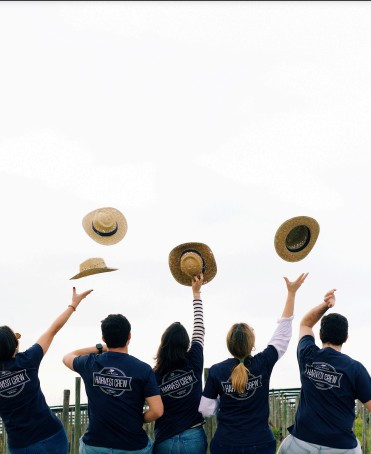 Harvest Program: Harvest program