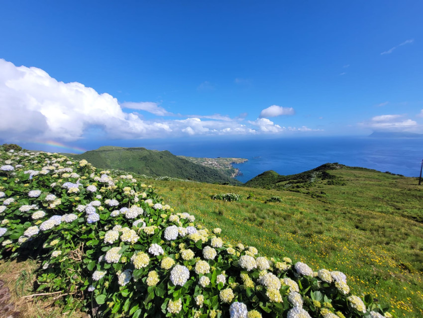 Tours: Tour Completo – Experiência Total na Ilha