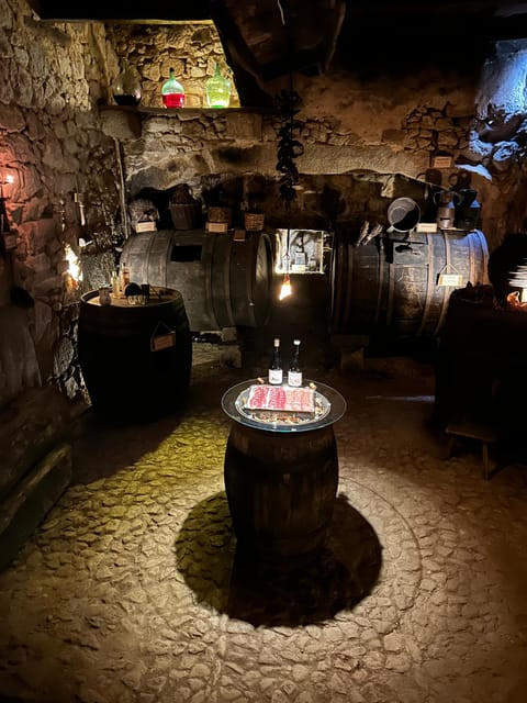 Food & Wine: Unique experience in XVI winery with tasting near Salamanca