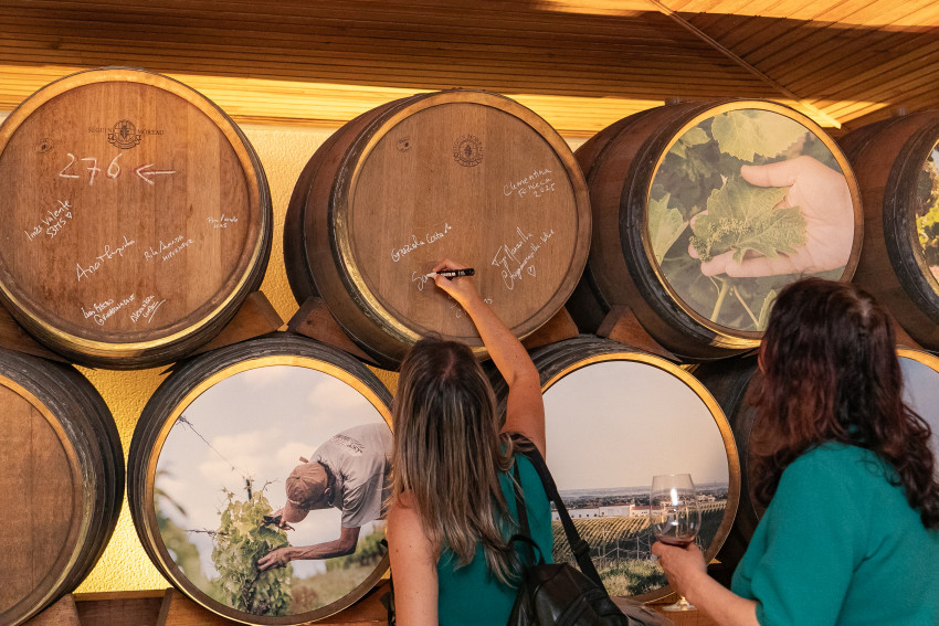 Food & Wine: Premium Tasting