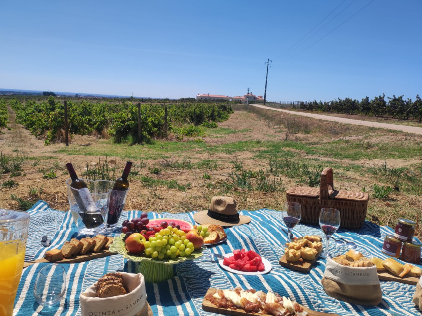 Food & Wine: Picnic in the Vineyard