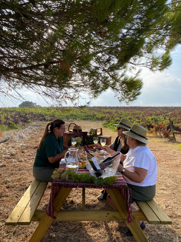 Food & Wine: Picnic in the Vineyard