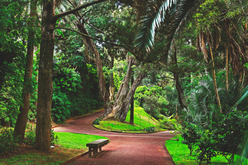 Sightseeing: Gruta do Carvão e Jardins