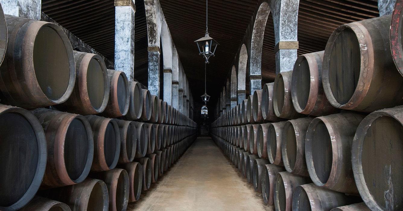 Gastronomy: Jerez and Cádiz: Wine, Horses and Light