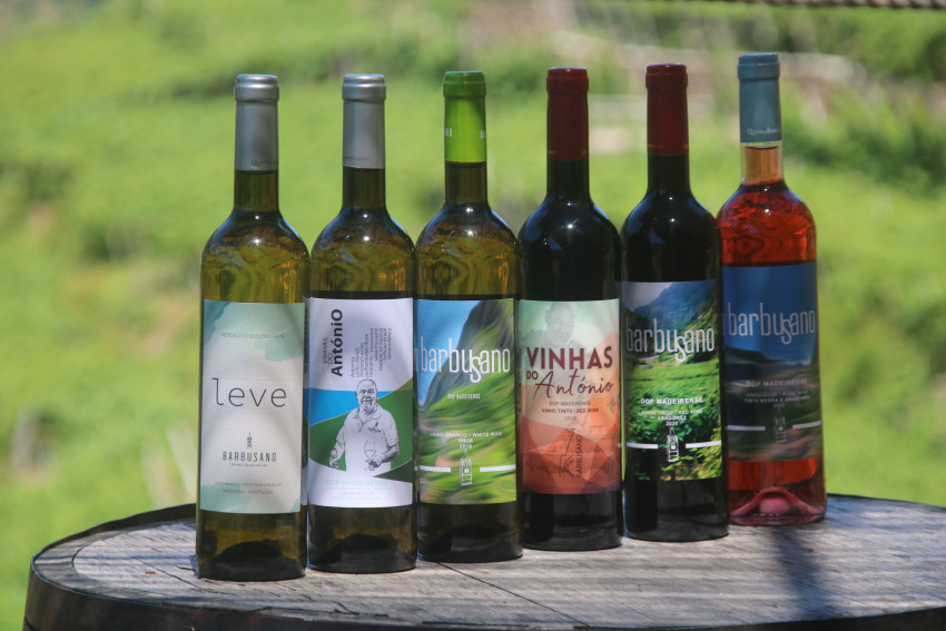 Passeio de Jeep: Vinho e Skywalk - Meio Dia