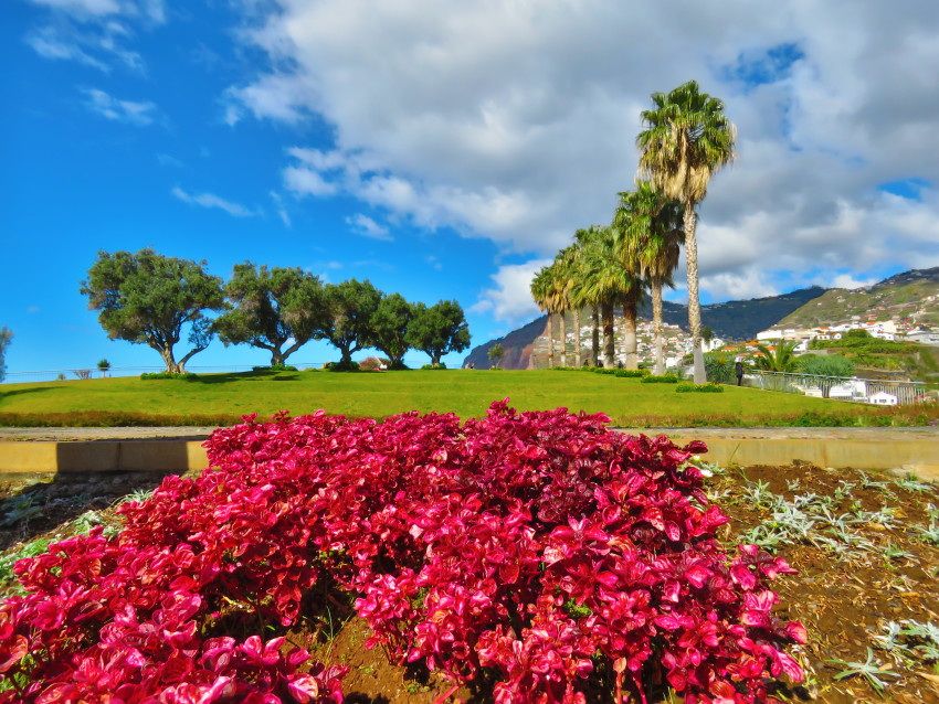 Passeio de Jeep: Meio Dia - Vinhas e Cores (Cabo Girão)