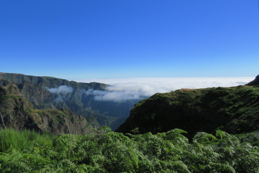 Passeio de Jeep: Curral das Freiras e Pico do Areeiro