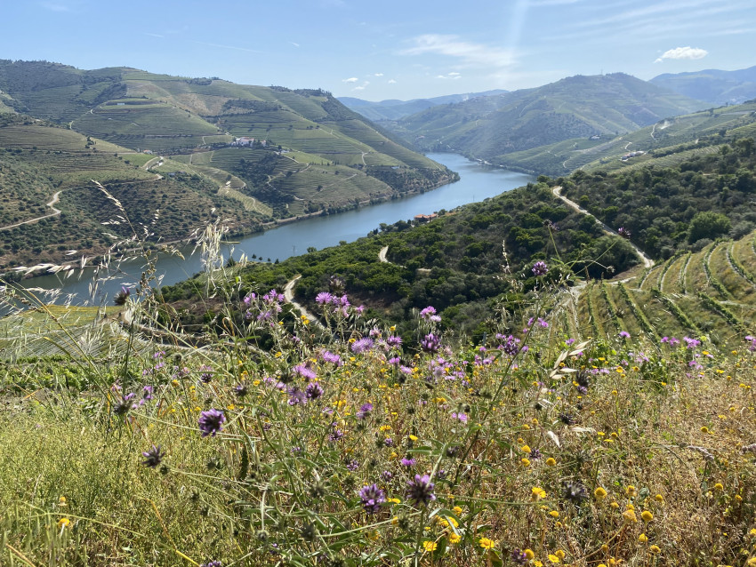 Experience pack: Hiking - 3-Day Classic Douro Journey