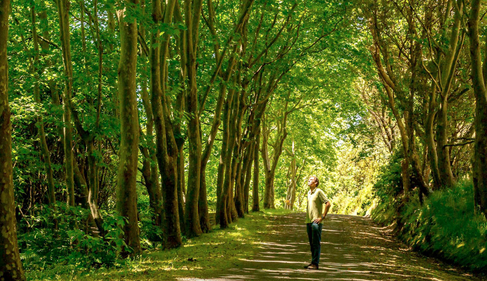 Passeio a pé: Trilhos Pedestres Ilha Graciosa